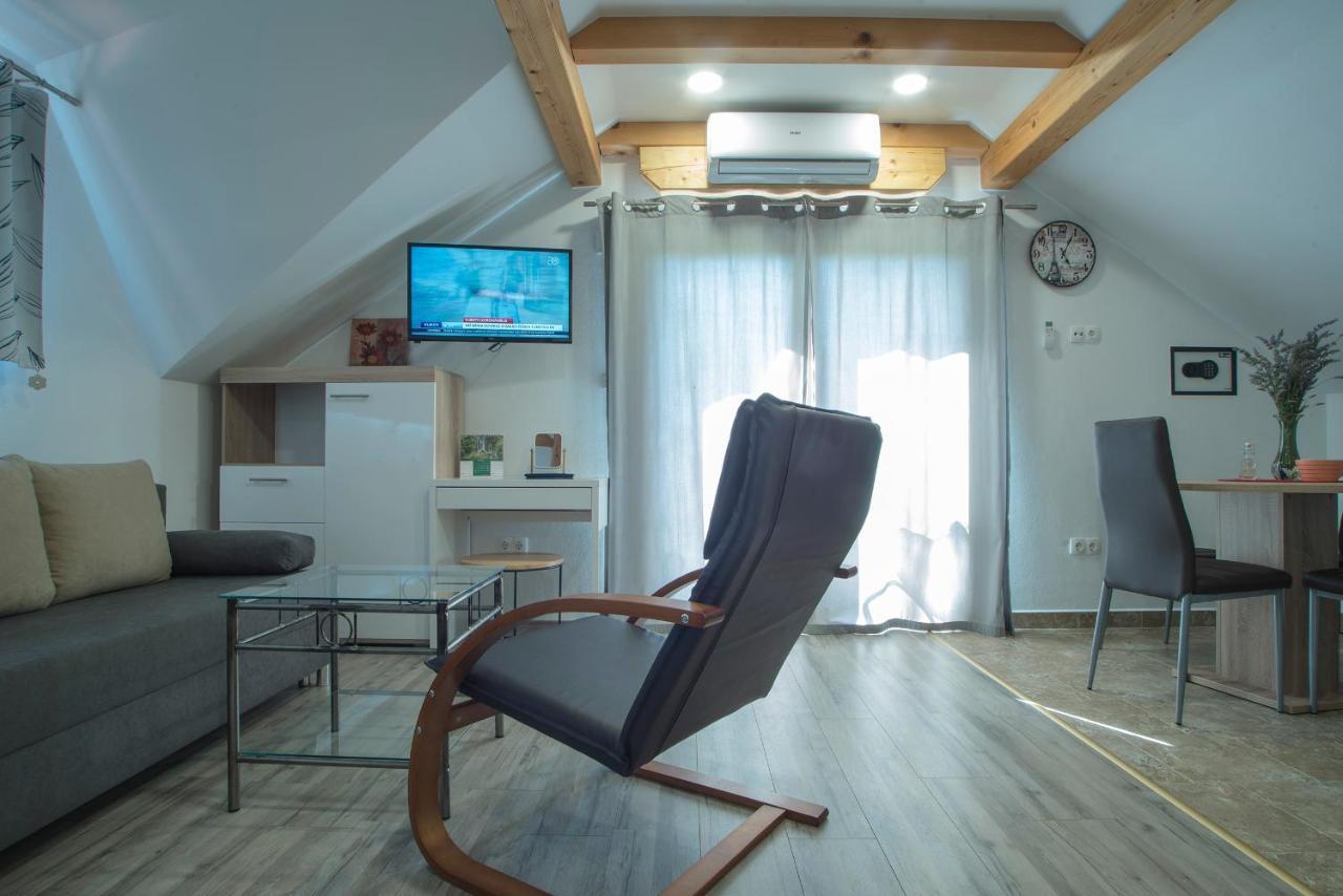 Studio Apartment Karlo Drežnik Grad Dış mekan fotoğraf