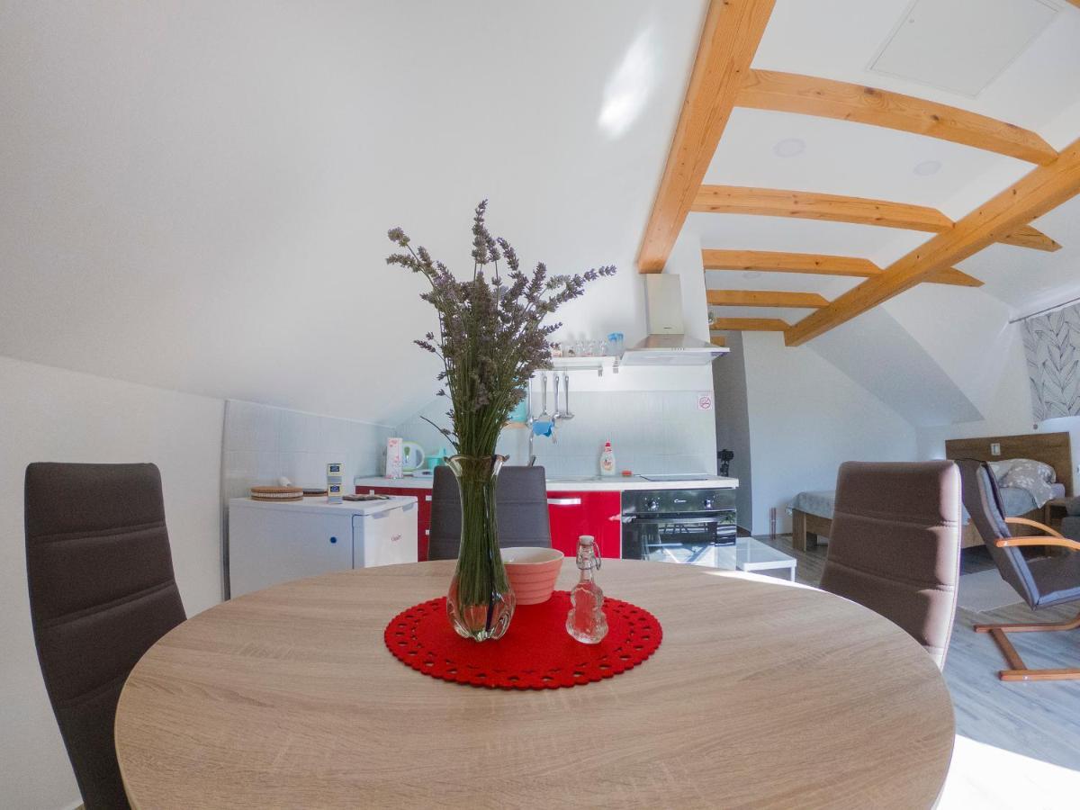 Studio Apartment Karlo Drežnik Grad Dış mekan fotoğraf