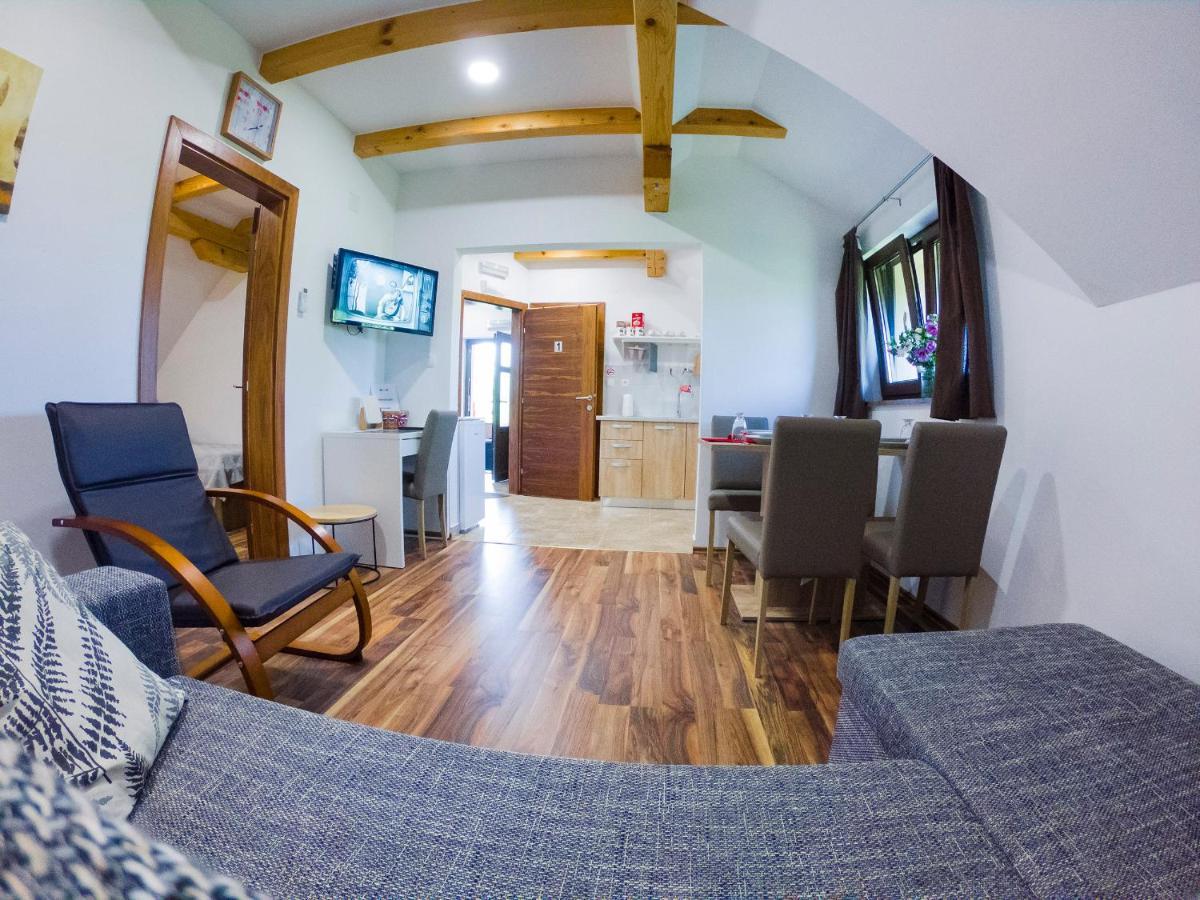 Studio Apartment Karlo Drežnik Grad Dış mekan fotoğraf